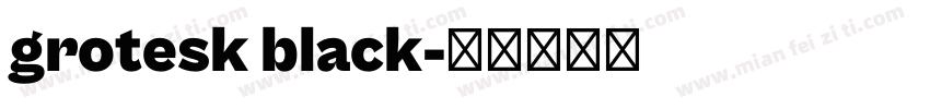 grotesk black字体转换
